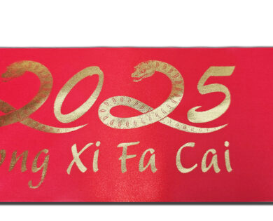 Chinese 2025 New Year of the snake Banner red and gold 100mm x 1m