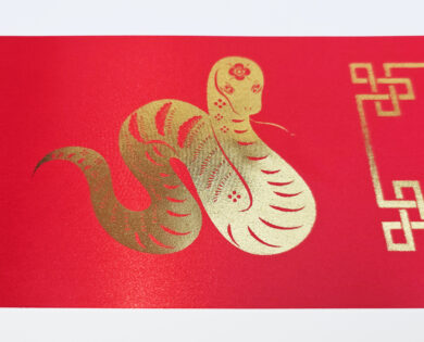 Chinese 2025 New Year of the snake Banner red and gold 100mm x 1m