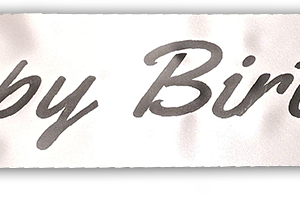 Happy Birthday polyester banner with black and white chequered flag print 100mm x 1m